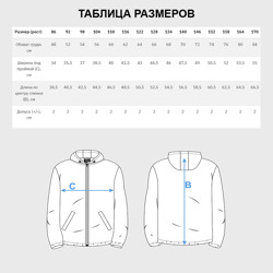 Ветровка с принтом Гуси паттерн для ребенка, вид на модели спереди №4. Цвет основы: белый