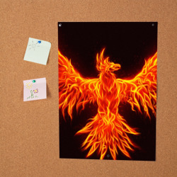 Постер Огненный феникс fire Phoenix - фото 2