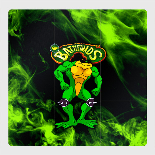 Магнитный плакат 3Х3 Battletoads Rash