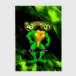 Постер Battletoads Rash