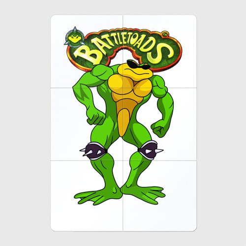 Магнитный плакат 2Х3 Battletoads Боевые жабы Рэш
