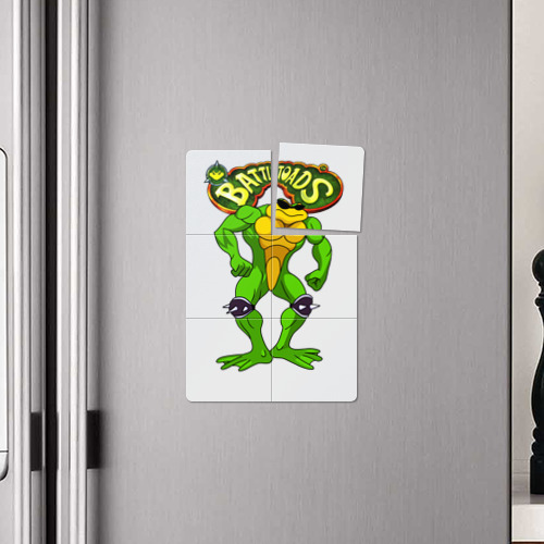 Магнитный плакат 2Х3 Battletoads Боевые жабы Рэш - фото 4