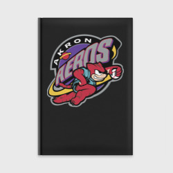 Ежедневник Akron aeros - baseball team