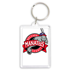 Брелок прямоугольный 35*50 Brevard County Manatees - baseball team