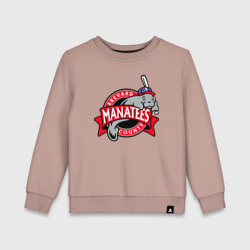 Детский свитшот хлопок Brevard County Manatees - baseball team