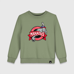 Детский свитшот хлопок Brevard County Manatees - baseball team