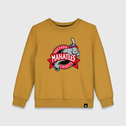 Детский свитшот хлопок Brevard County Manatees - baseball team