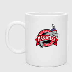 Кружка керамическая Brevard County Manatees - baseball team