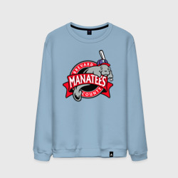 Мужской свитшот хлопок Brevard County Manatees - baseball team