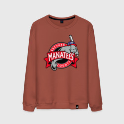 Мужской свитшот хлопок Brevard County Manatees - baseball team