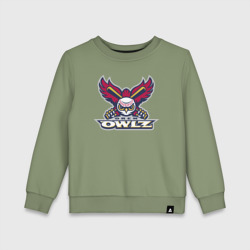 Детский свитшот хлопок Orem Owlz - baseball team