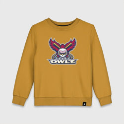 Детский свитшот хлопок Orem Owlz - baseball team