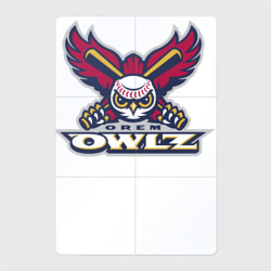 Магнитный плакат 2Х3 Orem Owlz - baseball team