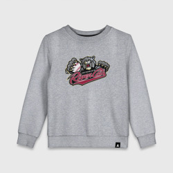 Детский свитшот хлопок Sacramento river cats - baseball team