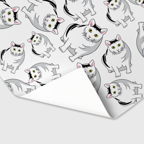Бумага для упаковки 3D Котики мем Мяу - фото 3
