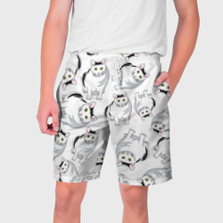 Мужские шорты 3D Котики мем Мяу