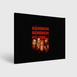 Холст прямоугольный Maneskin состав группы Манескин