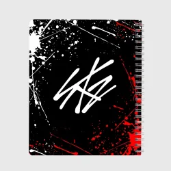 Тетрадь Stray kids на спине брызги красок - фото 2