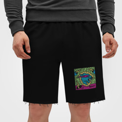 Мужские трикотажные шорты футер хлопок Mr Beast Drawing Coton - фото 2