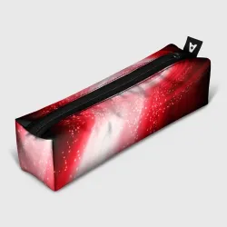 Пенал школьный 3D Красная космическая спираль