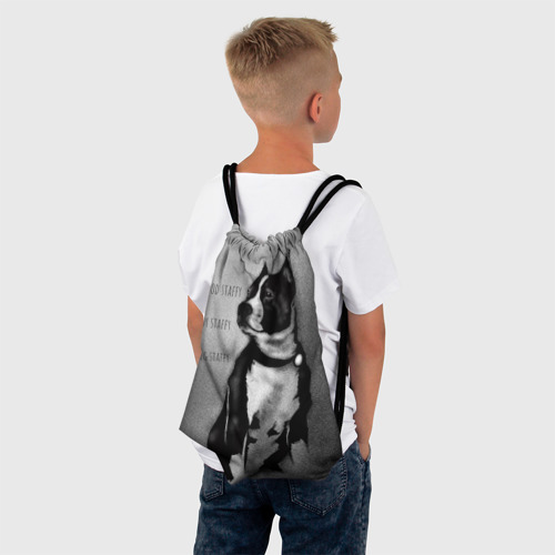 Рюкзак-мешок 3D Staffy boy - фото 4