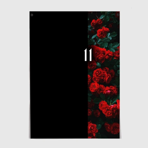 Постер Розы 11 