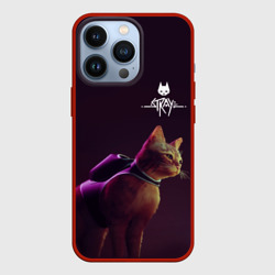 Чехол для iPhone 13 Pro Stray Боевой котик