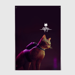 Постер Stray Боевой котик