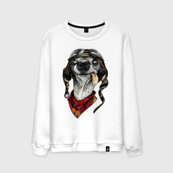 Мужской свитшот хлопок Biker dog