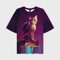 Мужская футболка oversize 3D Stray cat 