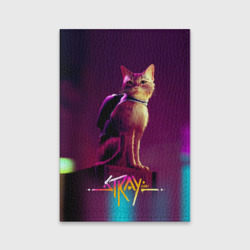 Обложка для паспорта матовая кожа Stray cat кот бродяга