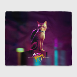 Плед 3D Stray cat 