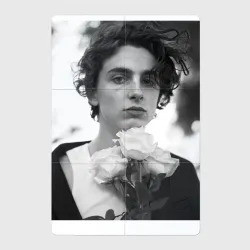 Магнитный плакат 2Х3 Timothee Chalamet с розами