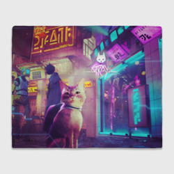 Плед 3D Stray Кот