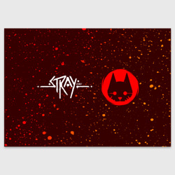 Поздравительная открытка Stray Краски