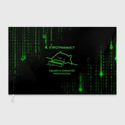 Флаг 3D Кот-программист и бинарный код