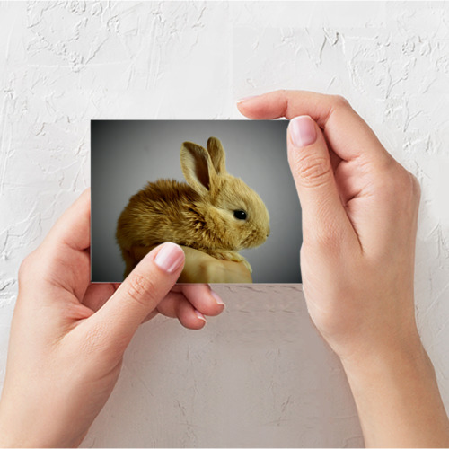 Поздравительная открытка Маленький кролик, цвет белый - фото 3
