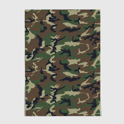 Постер Камуфляж - Camouflage