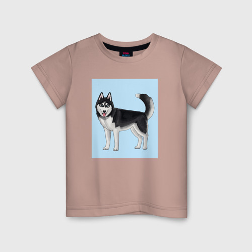 Детская футболка хлопок с принтом Сибирский хаски собака, вид спереди #2