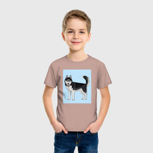 Детская футболка хлопок с принтом Сибирский хаски собака, фото на моделе #1