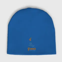 Мужская шапка демисезонная Senior Shawa Developer