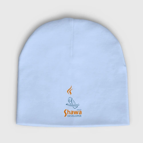 Мужская шапка демисезонная Senior Shawa Developer