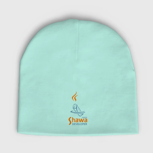 Мужская шапка демисезонная Senior Shawa Developer