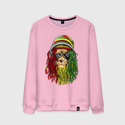 Мужской свитшот хлопок Rasta lioN