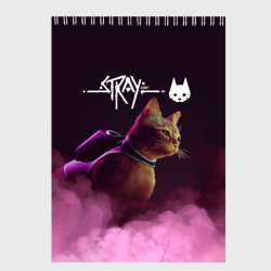 Скетчбук Stray Стрей