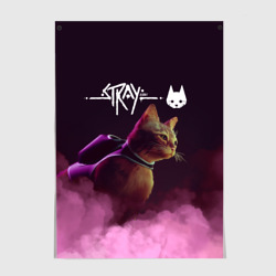 Постер Stray Стрей