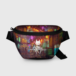 Поясная сумка 3D Stray Poster