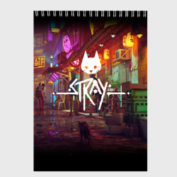 Скетчбук Stray Poster