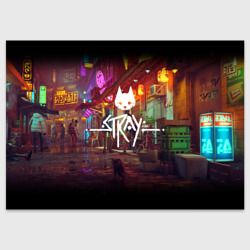 Поздравительная открытка Stray Poster