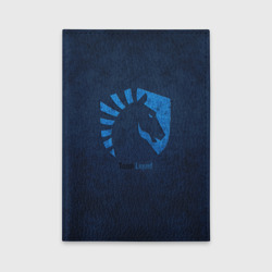 Обложка для автодокументов Команда Team Liquid